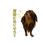 ハピオレ②-1（個別スタンプ：5）