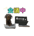 ハピオレ②-1（個別スタンプ：7）