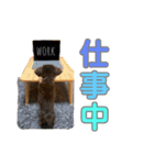 ハピオレ②-1（個別スタンプ：8）