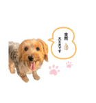 日常 無難なスタンプ（個別スタンプ：11）