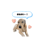 日常 無難なスタンプ（個別スタンプ：24）