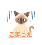 ねこワールドスタンプ（個別スタンプ：5）