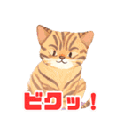 ねこワールドスタンプ（個別スタンプ：13）