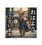 【サラリーマン】猫と申します。（個別スタンプ：3）