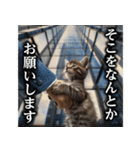 【サラリーマン】猫と申します。（個別スタンプ：19）