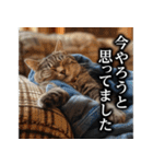 【サラリーマン】猫と申します。（個別スタンプ：35）