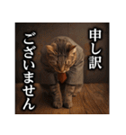 【サラリーマン】猫と申します。（個別スタンプ：36）