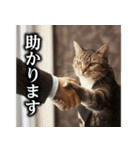 【サラリーマン】猫と申します。（個別スタンプ：37）