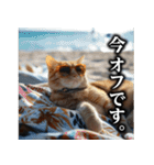 【サラリーマン】猫と申します。（個別スタンプ：40）