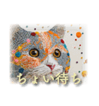 手芸素材の猫（個別スタンプ：33）