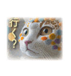 手芸素材の猫（個別スタンプ：38）