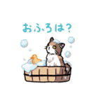 三毛猫きなこスタンプ～家族編～（個別スタンプ：26）