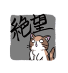 三毛猫きなこスタンプ～家族編～（個別スタンプ：37）