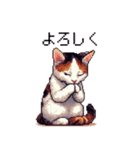 ドット絵 ハチワレ 白茶 日常会話（個別スタンプ：5）