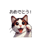 ドット絵 ハチワレ 白茶 日常会話（個別スタンプ：14）