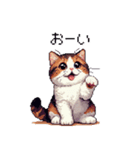 ドット絵 ハチワレ 白茶 日常会話（個別スタンプ：19）