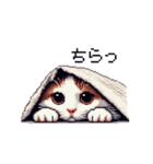 ドット絵 ハチワレ 白茶 日常会話（個別スタンプ：31）