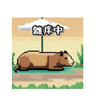 動物ピクセルLINEスタンプ（個別スタンプ：14）