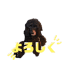 ぴのぱるの日常（個別スタンプ：9）