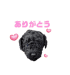 ぴのぱるの日常（個別スタンプ：10）