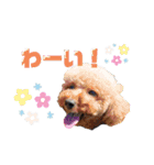 ぴのぱるの日常（個別スタンプ：13）
