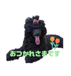 ぴのぱるの日常（個別スタンプ：14）