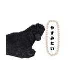 ぴのぱるの日常（個別スタンプ：23）