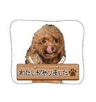 ぴのぱるの日常（個別スタンプ：29）