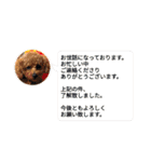 ぴのぱるの日常（個別スタンプ：38）