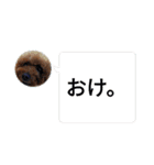 ぴのぱるの日常（個別スタンプ：40）