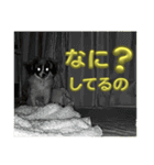 あたち、ムーン（個別スタンプ：5）