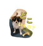 あたち、ムーン（個別スタンプ：6）