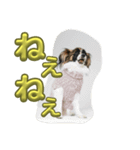 あたち、ムーン（個別スタンプ：7）