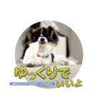 あたち、ムーン（個別スタンプ：8）