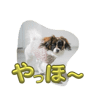 あたち、ムーン（個別スタンプ：9）