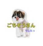 あたち、ムーン（個別スタンプ：11）