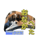 あたち、ムーン（個別スタンプ：12）