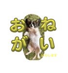 あたち、ムーン（個別スタンプ：13）
