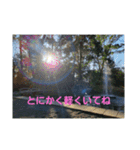自分はこうして生きている(スピリチュアル)（個別スタンプ：14）