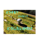 自分はこうして生きている(スピリチュアル)（個別スタンプ：29）