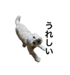 HIME 〜ひめと野良猫〜 Ver.3（個別スタンプ：1）