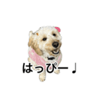 HIME 〜ひめと野良猫〜 Ver.3（個別スタンプ：2）