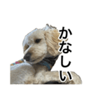 HIME 〜ひめと野良猫〜 Ver.3（個別スタンプ：3）
