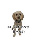HIME 〜ひめと野良猫〜 Ver.3（個別スタンプ：13）