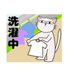 タマの日常 9（個別スタンプ：4）