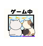 タマの日常 9（個別スタンプ：16）