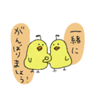 ひよこ梨 敬語（個別スタンプ：13）