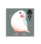 関西弁文鳥2（個別スタンプ：1）