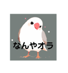 関西弁文鳥2（個別スタンプ：2）