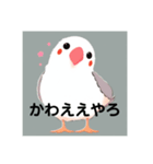 関西弁文鳥2（個別スタンプ：7）